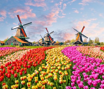 Netherlands