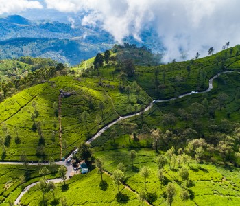 Sri Lanka